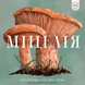 Міцелія (Mycelia)