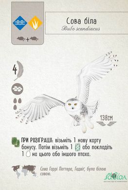 Крила. Птахи Європи